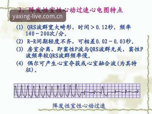 亚星体育平台使用完整指南：安全性解析与下载异常应对方法