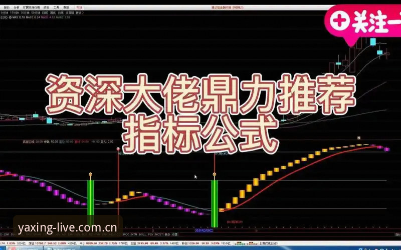 亚星体育高清直播 资深用户揭秘亚星体育高清直播:从入门到精通的实战经验